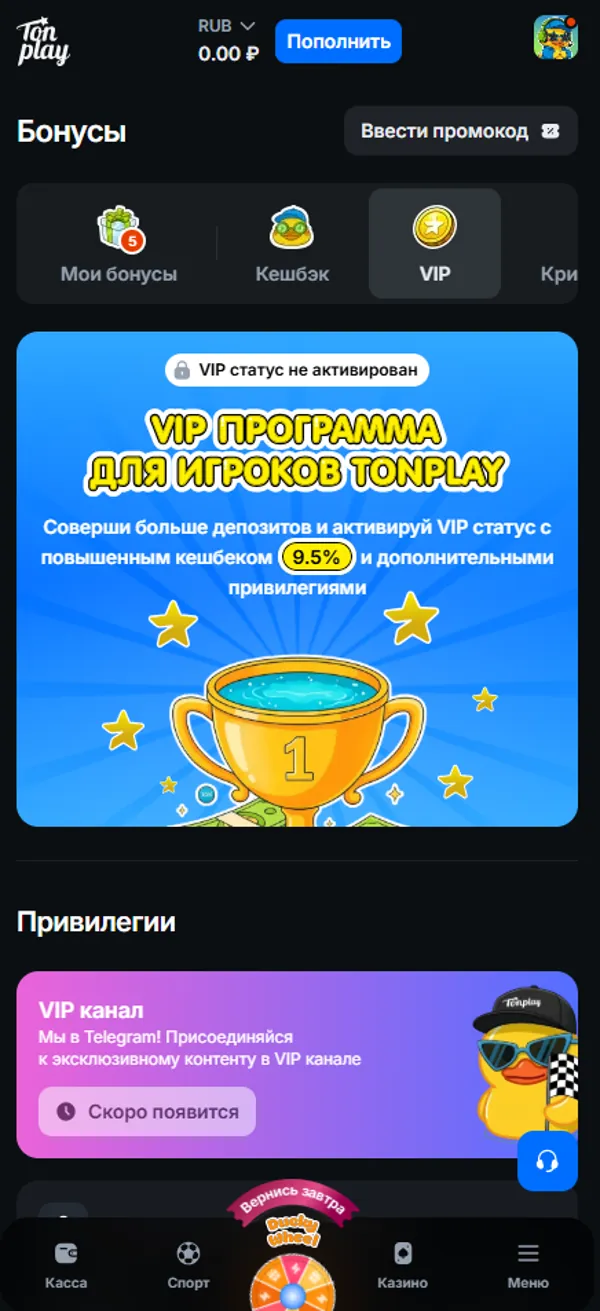VIP-раздел и программа привилегий